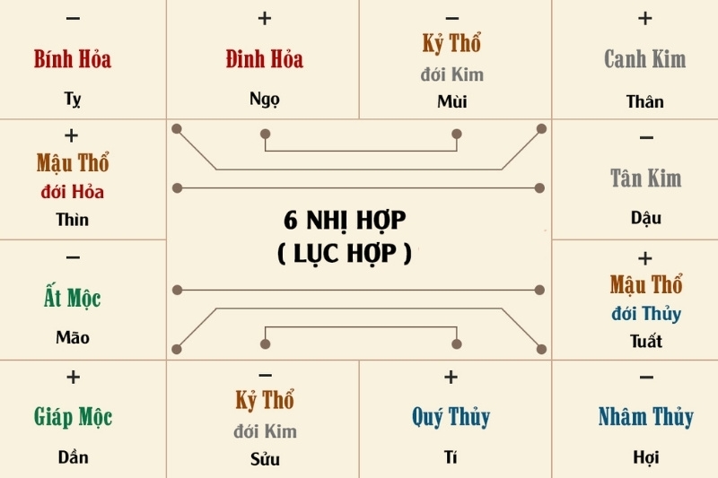 Lục hợp là gì 3