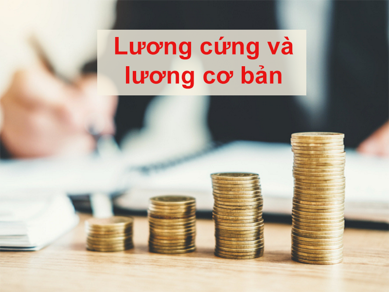 Lương cứng là gì? (hình 6)