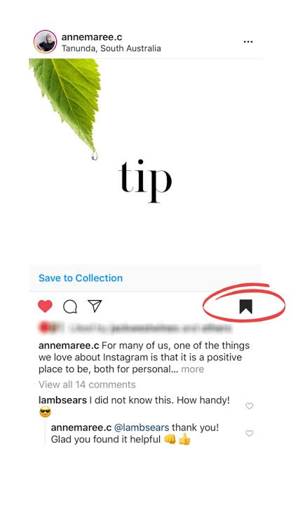 luu-anh-instagram-1.png
