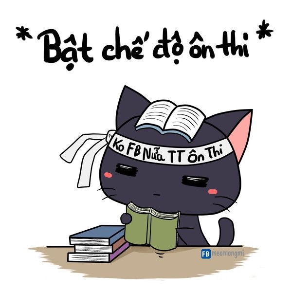 M02 gồm những môn nào? ngành nào - Hình 5