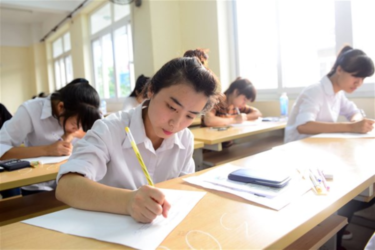 M11 gồm những môn nào? Ngành nào hình 7