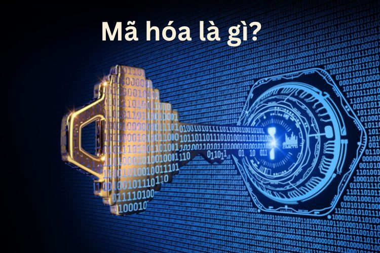 Mã hóa là gì? Tầm quan trọng và thách thức của mã hóa dữ liệu