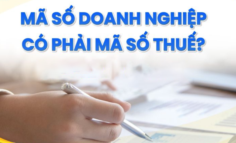 Mã số doanh nghiệp là gì? - hình 2