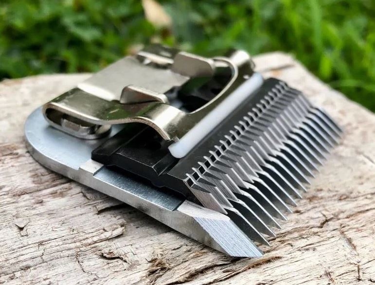 mài lưỡi tông đơ 5