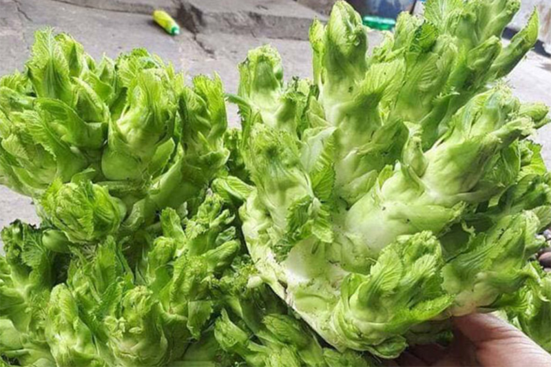 Mầm đá xào tỏi (hình 5)