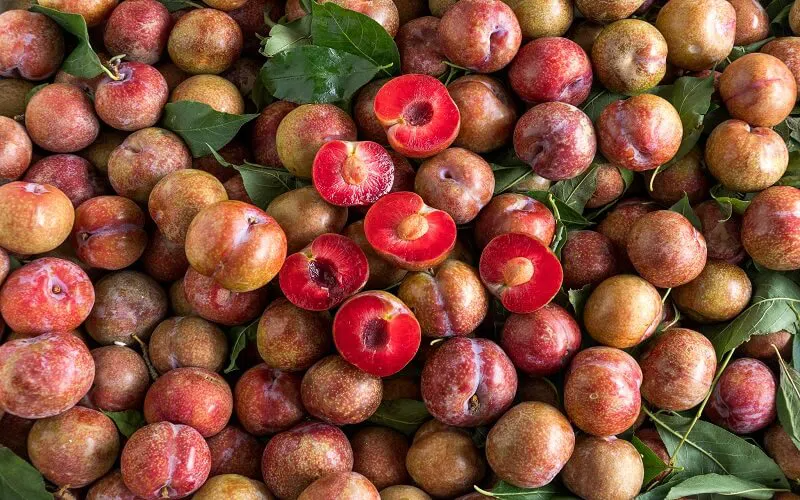 Mận Hà Nội bao nhiêu calo? (hình 1)