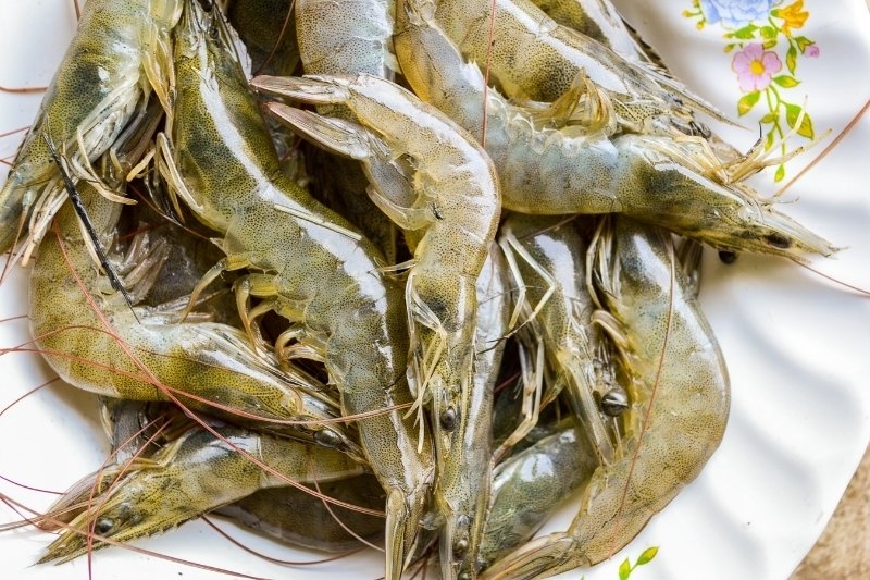 măng tây xào với tôm 2