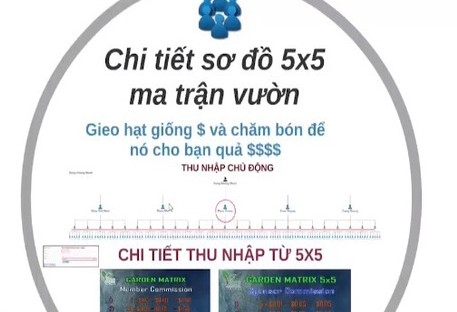 mang-xa-hoi-vitae-la-gi-3.jpg