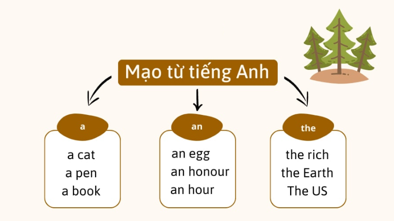 mạo từ là gì - hình 2