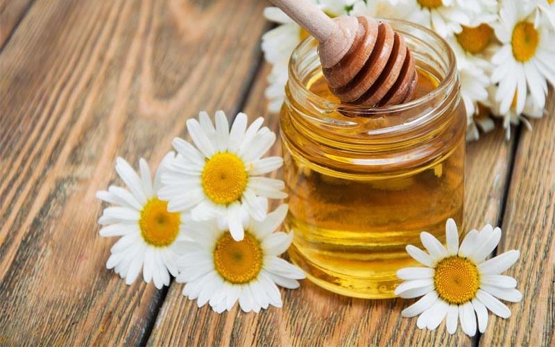 Mật ong hoa xuyến chi có tác dụng gì