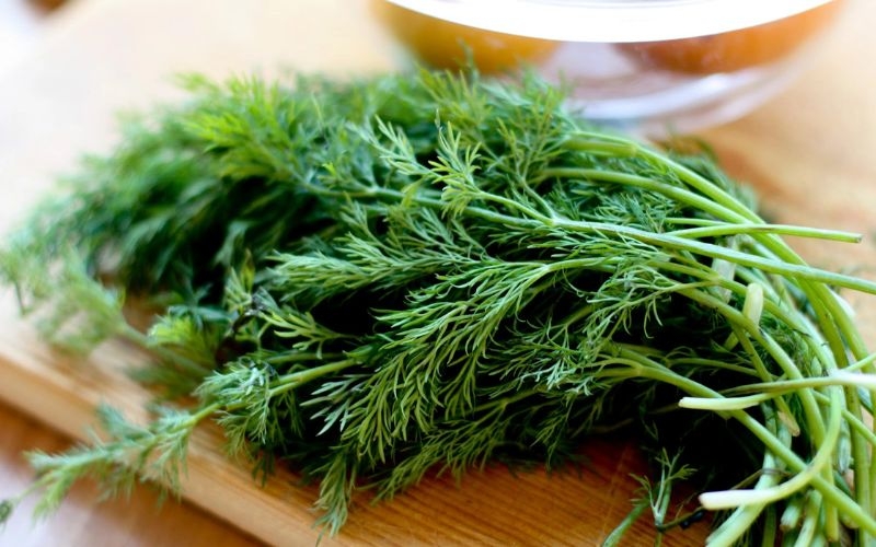 Mật ong kỵ thì là