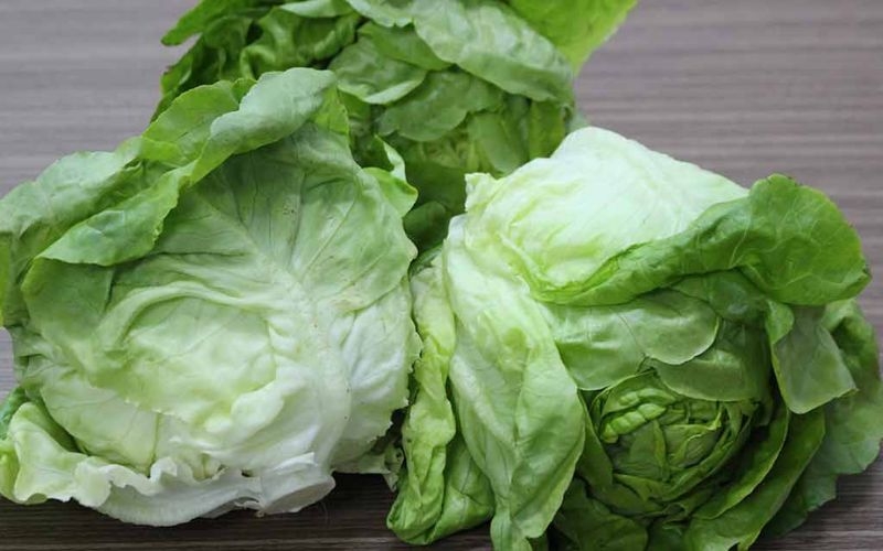 Mật ong kỵ rau xà lách