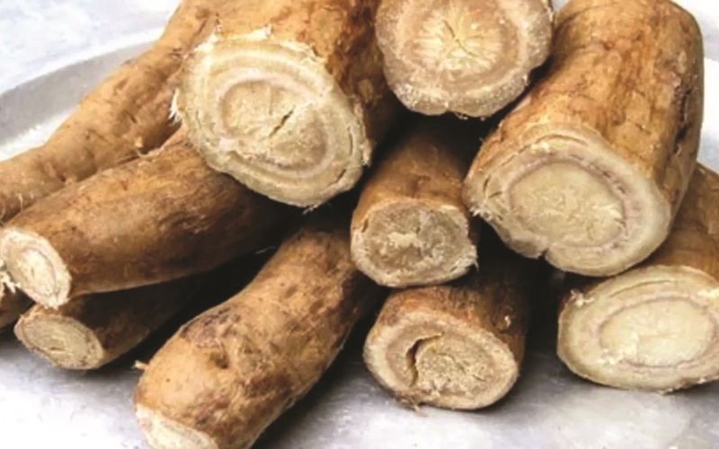 Mật ong kỵ sắn dây