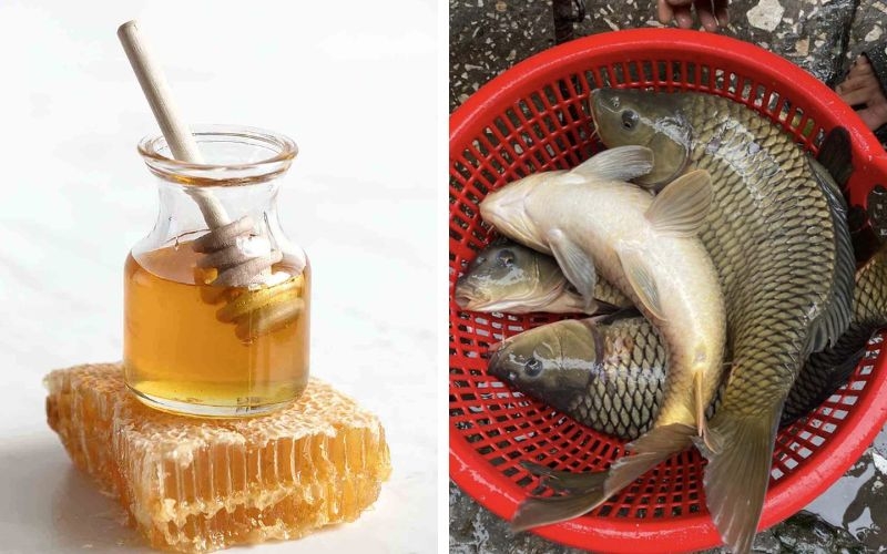 Mật ong kỵ cá chép