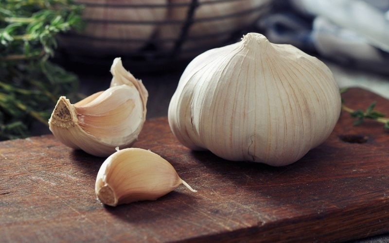 Mật ong kỵ tỏi tươi
