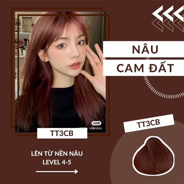 màu nâu cam có phải tẩy tóc không (hình 5)