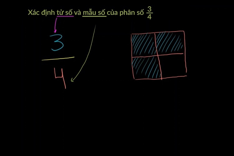 mẫu số là gì 4