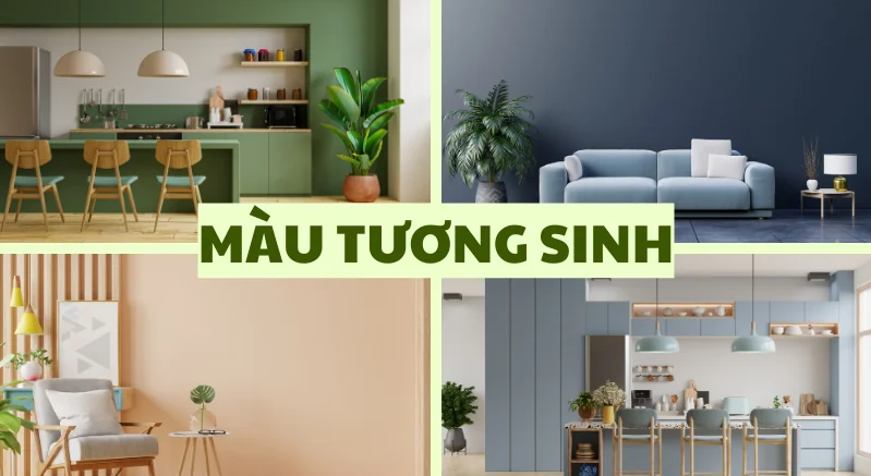 Màu tương sinh là gì