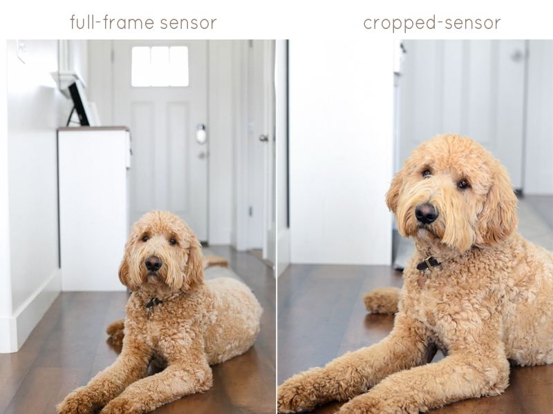 Máy ảnh Full frame chụp phạm vi rộng hơn