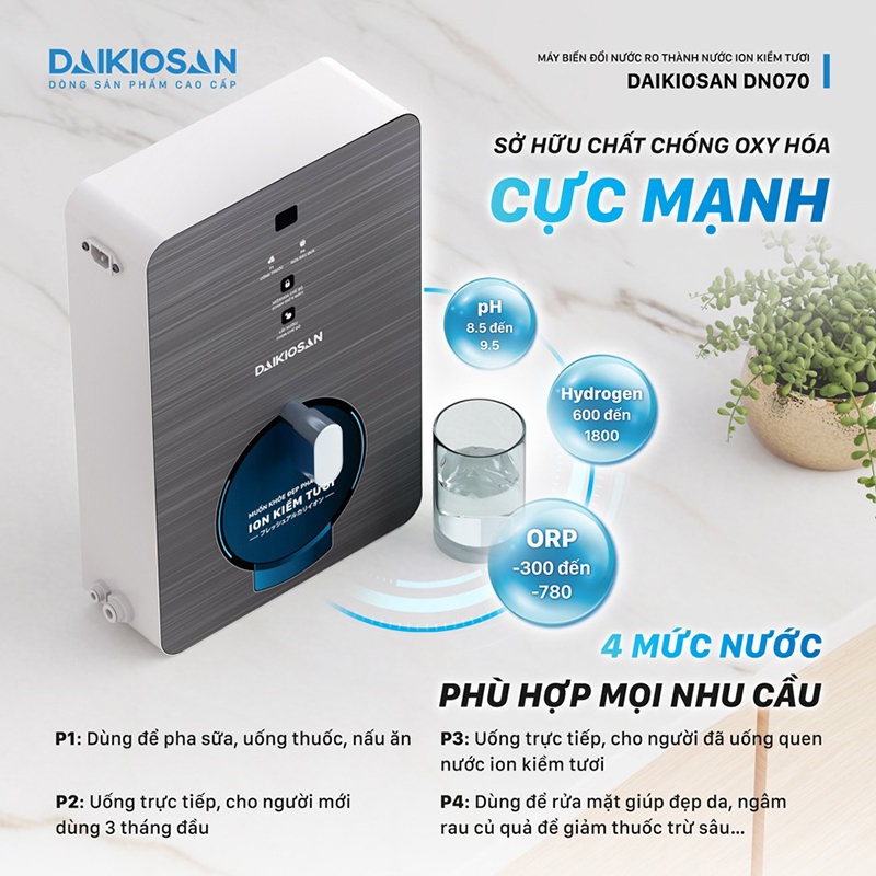 Máy chuyển đổi ion kiềm Daikiosan 2 lõi DN070 (hình 4)