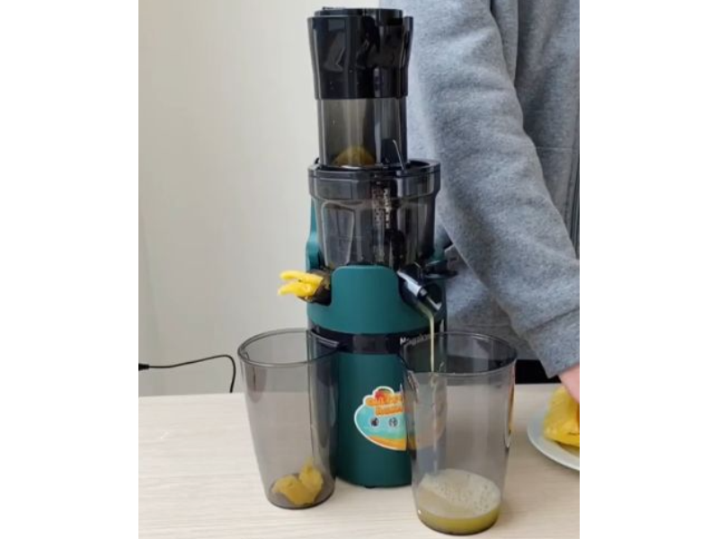 Máy ép chậm Nagakawa NAG0818 - hình 4