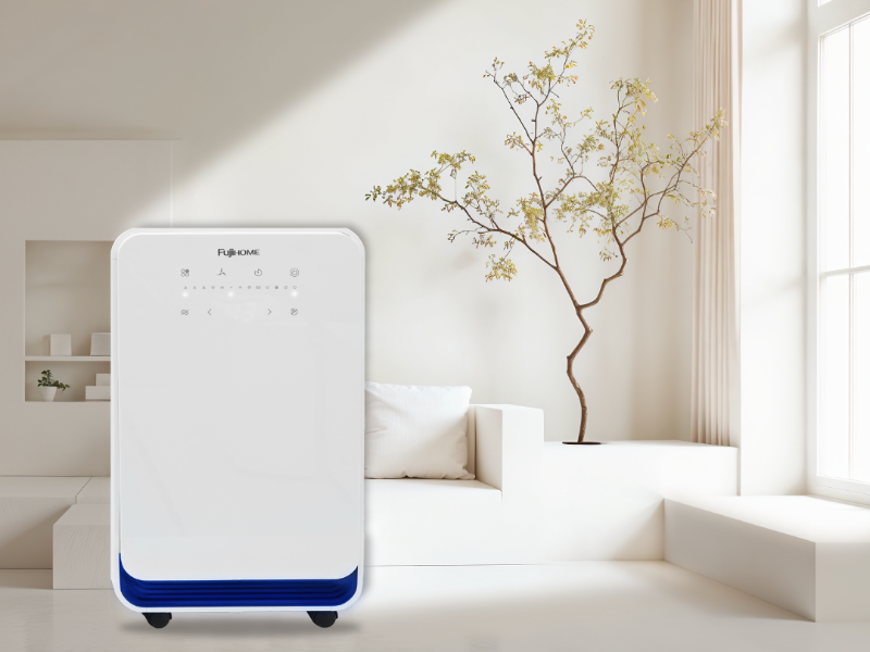 Máy hút ẩm 10 lít Fujihome DH10 (hình 2)