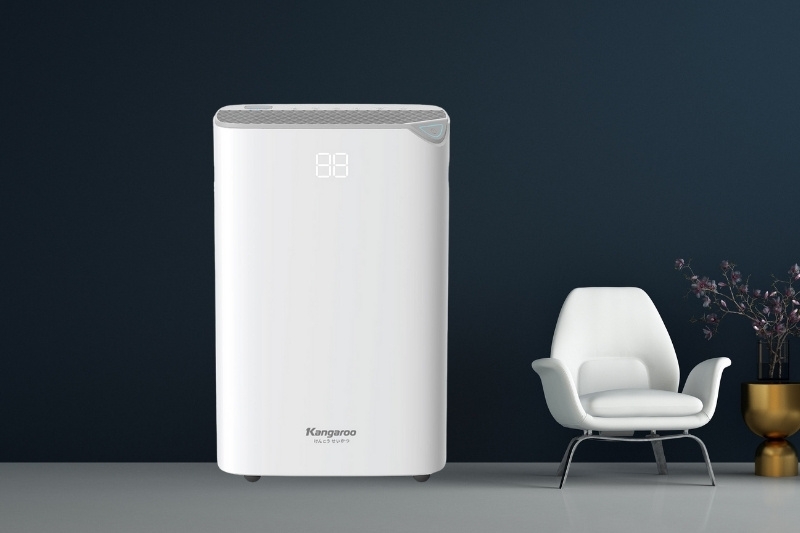Máy hút ẩm Kangaroo KGDH20
