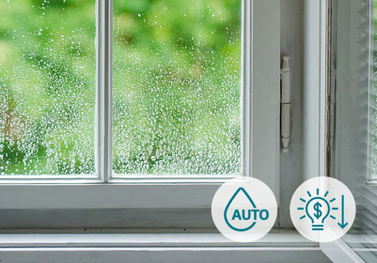 Máy hút ẩm LG của nước nào? (hình 7)