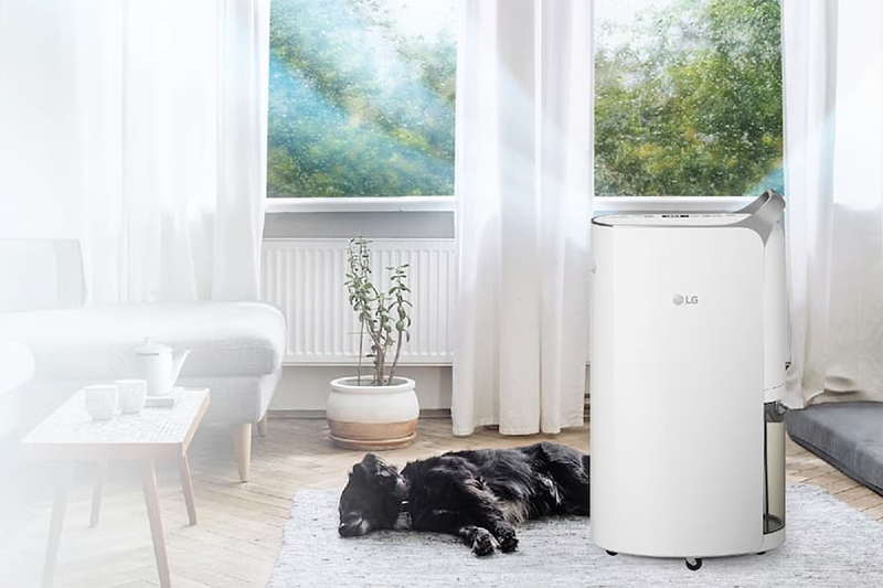 Giải đáp: Máy hút ẩm LG của nước nào? Đánh giá chi tiết những ưu điểm nổi bật