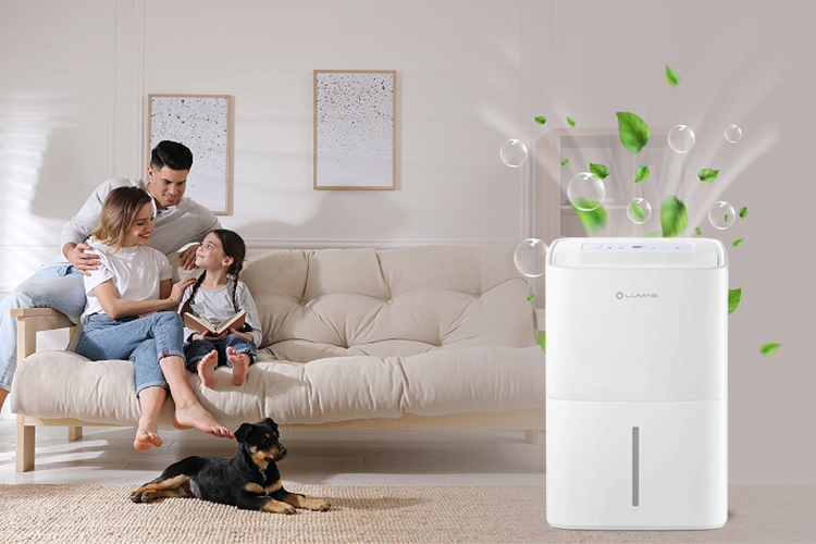 Máy hút ẩm Lumias có tốt không? Top 2 mẫu máy hút ẩm Lumias đáng đầu tư trong năm 2026