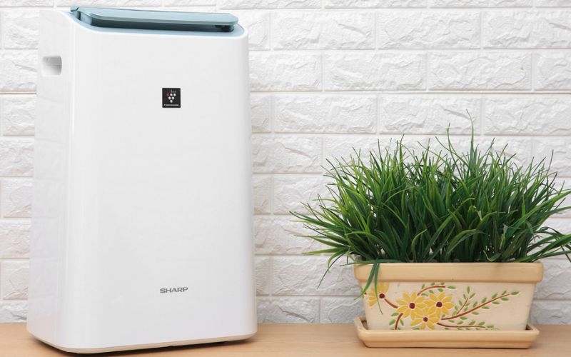 M&aacute;y h&uacute;t ẩm h&atilde;ng n&agrave;o tốt 2026 (2)