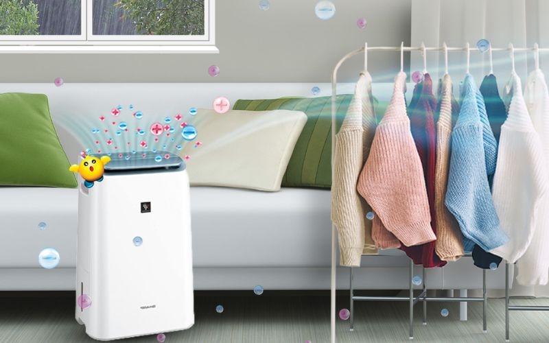 Có nên mua máy hút ẩm Sharp không