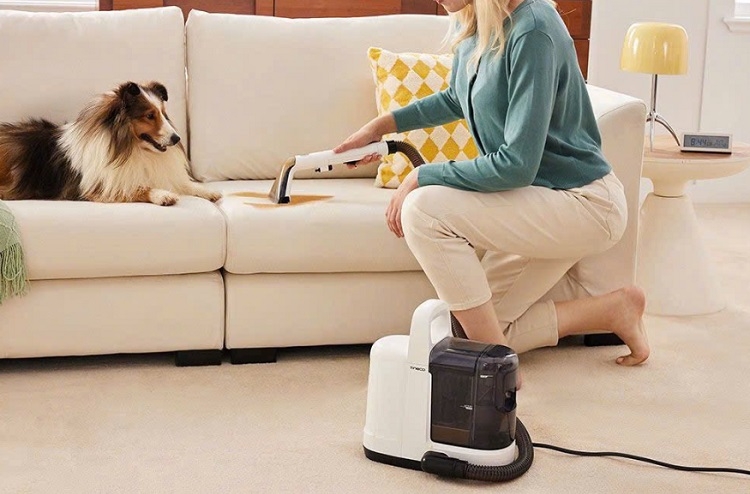 M&aacute;y h&uacute;t bụi giặt ghế sofa (H&igrave;nh 5)