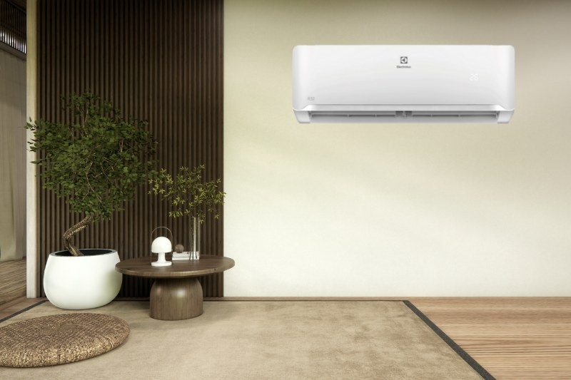 m&aacute;y lạnh Electrolux b&aacute;o lỗi P1 4