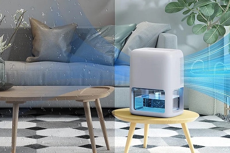 Máy lọc không khí hút ẩm 2025 ảnh 3