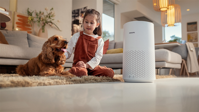 Máy lọc không khí Philips có tốt không (hình 11)