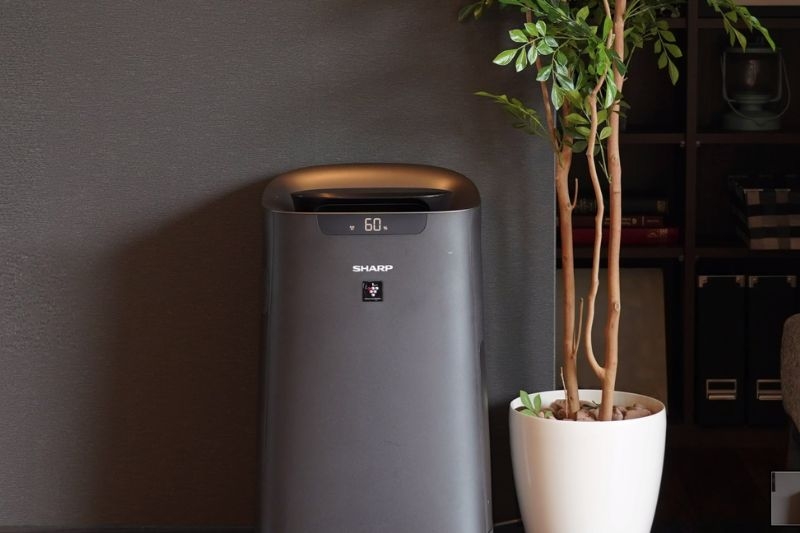 Máy lọc không khí Sharp có tốt không ảnh 1
