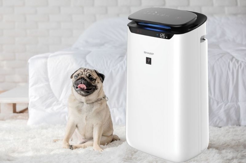 Máy lọc không khí Sharp có tốt không ảnh 2