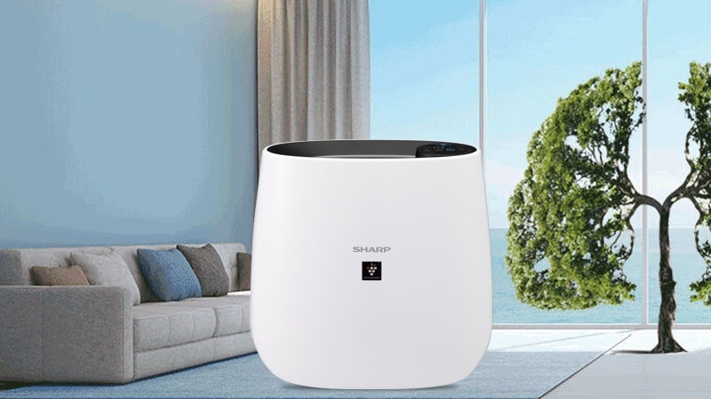 Máy lọc không khí Sharp loại nào tốt 2025 hình 2