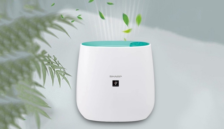 M&aacute;y lọc kh&ocirc;ng kh&iacute; Sharp tốt nhất 2026 (H&igrave;nh 2)