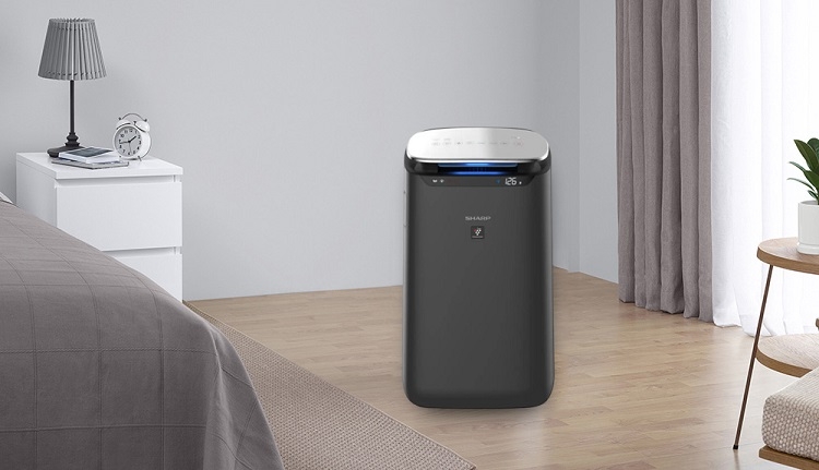 M&aacute;y lọc kh&ocirc;ng kh&iacute; Sharp tốt nhất 2026 (H&igrave;nh 6)