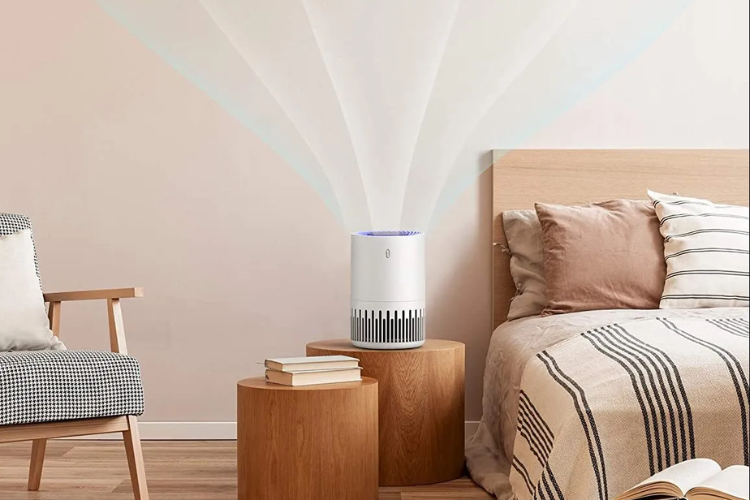 Máy tạo ion âm có tốt không hình 3