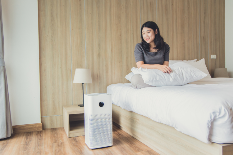 Máy tạo ion âm có tốt không hình 6