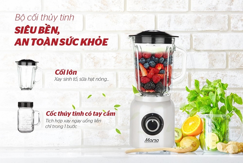 Top 6 máy xay sinh tố cối thủy tinh đẹp nhất 2025 (hình 5)