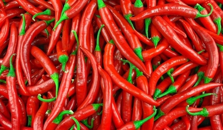 mề gà xào cay 8