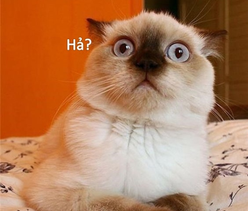 Meme bất ngờ ảnh 12