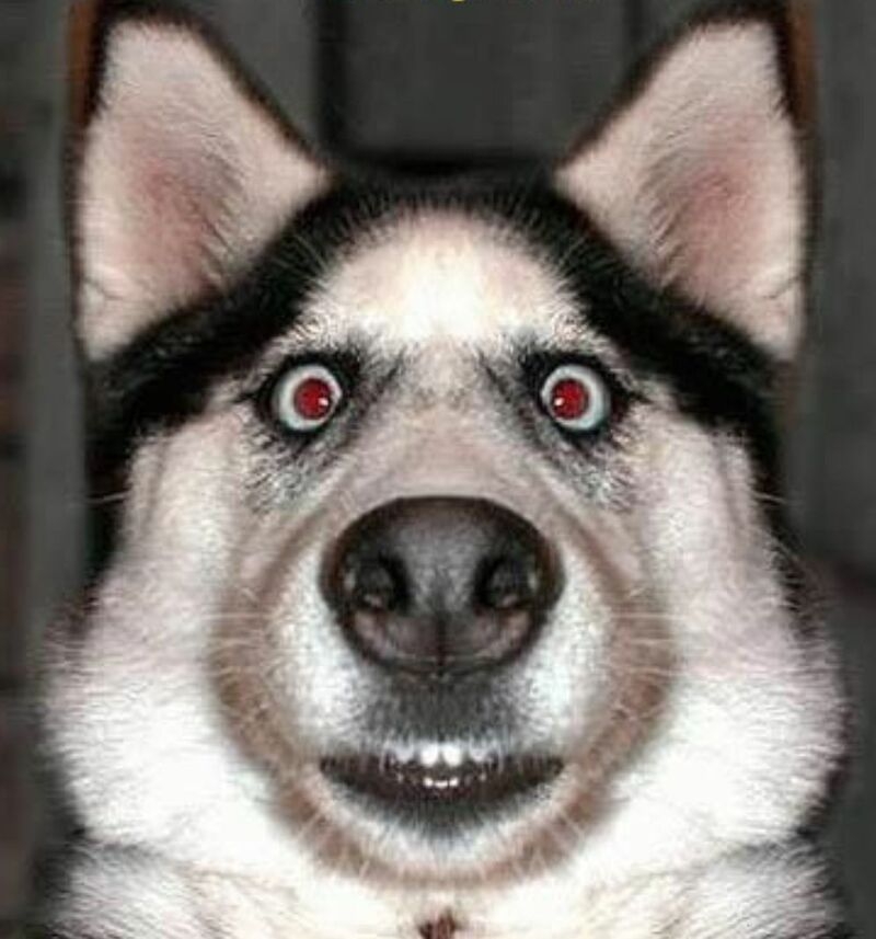 Meme bất ngờ ảnh 18