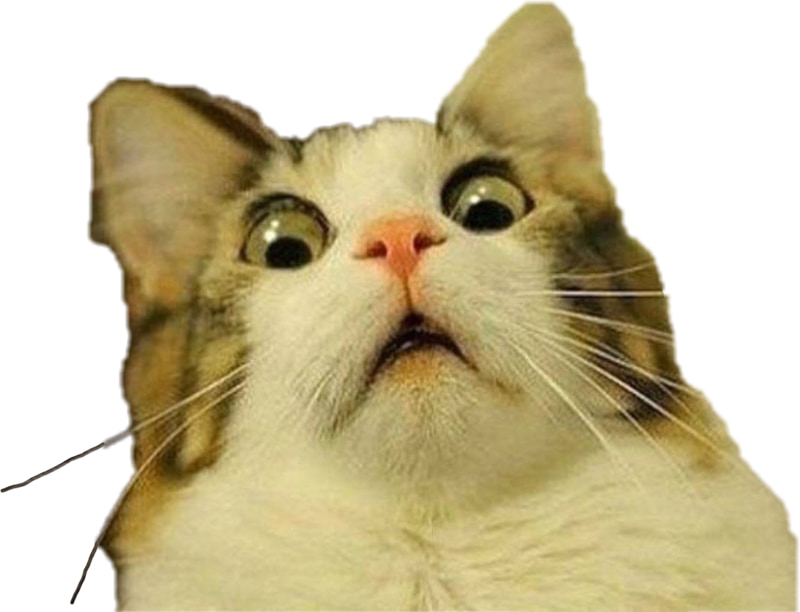 Meme bất ngờ ảnh 1