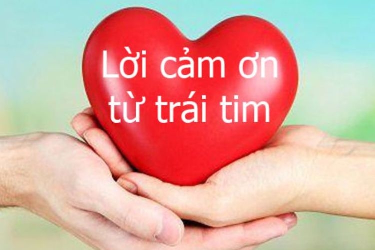 meme cảm ơn-11.jpg