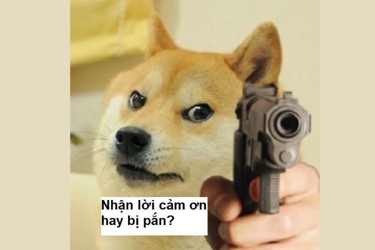 meme cảm ơn-19.jpg